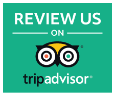 TripAdvisor Widget