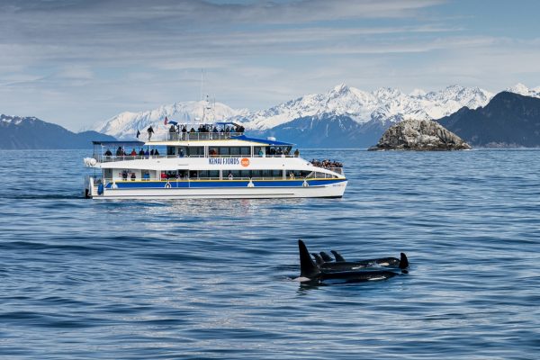 Kenai Fjords National Park Cruise with Major Marine Tours